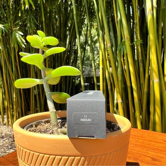 LORAC Pro Soft Focus Longwear Foundation 🌺 new 🌺 11 medium 🌺 30ml - Picture 2 of 4